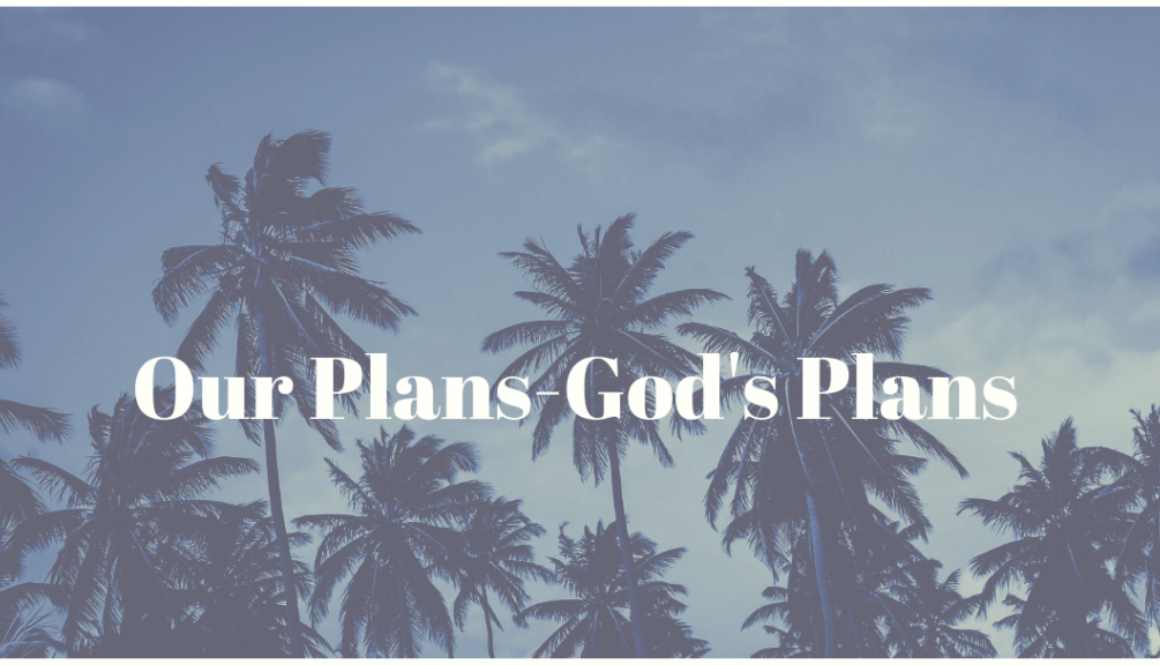 Vintage Tropics Etsy Banner-2